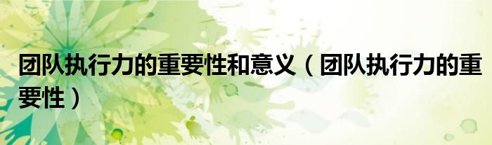 团队执行力的重要性和意义(团队执行力的重要性)