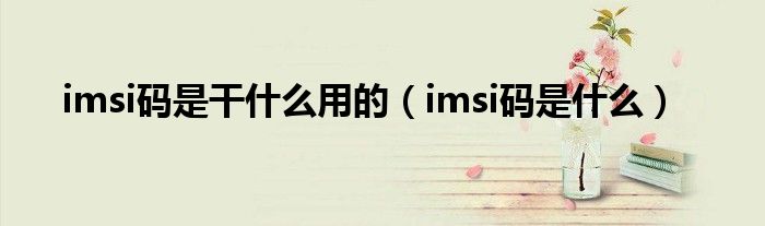 imsi码是干什么用的(imsi码是什么)
