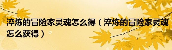 淬炼的冒险家灵魂怎么得(淬炼的冒险家灵魂怎么获得)