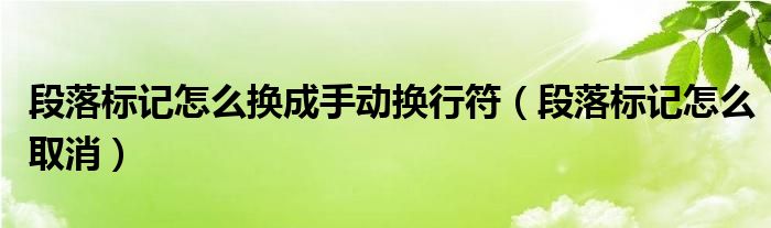 段落标记怎么换成手动换行符(段落标记怎么取消)