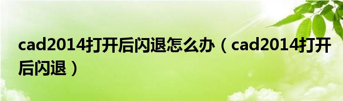 cad2014打开后闪退怎么办(cad2014打开后闪退)