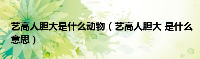 艺高人胆大是什么动物(艺高人胆大 是什么意思)