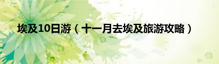 埃及10日游(十一月去埃及旅游攻略)