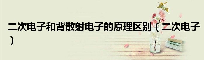 二次电子和背散射电子的原理区别(二次电子)