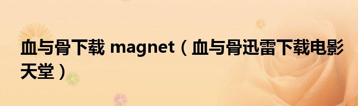 血与骨下载 magnet(血与骨迅雷下载电影天堂)