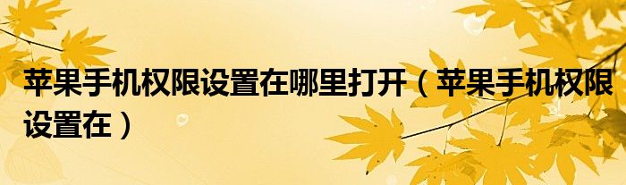 苹果手机权限设置在哪里打开(苹果手机权限设置在)