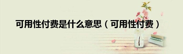 可用性付费是什么意思(可用性付费)