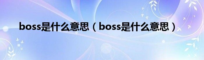 boss是什么意思(boss是什么意思)