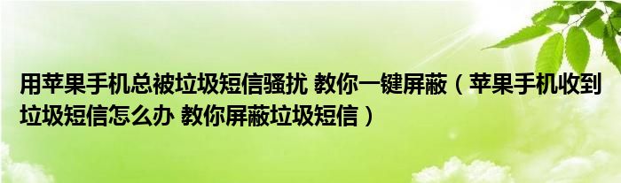 用苹果手机总被垃圾短信骚扰 教你一键屏蔽(苹果手机收到垃圾短信怎么办 教你屏蔽垃圾短信)