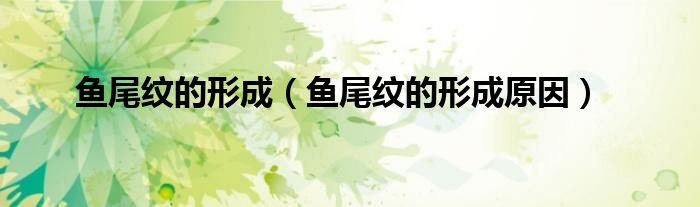 鱼尾纹的形成(鱼尾纹的形成原因)