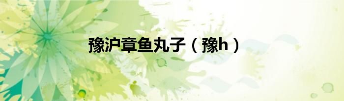 豫沪章鱼丸子（豫h）