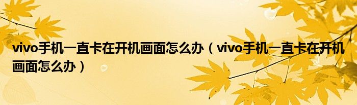 vivo手机一直卡在开机画面怎么办（vivo手机一直卡在开机画面怎么办）