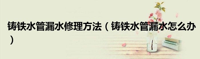 铸铁水管漏水修理方法(铸铁水管漏水怎么办)