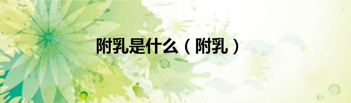 附乳是什么（附乳）