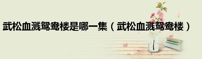 武松血溅鸳鸯楼是哪一集(武松血溅鸳鸯楼)