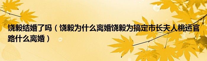 饶毅结婚了吗(饶毅为什么离婚饶毅为搞定市长夫人桃运官路什么离婚)