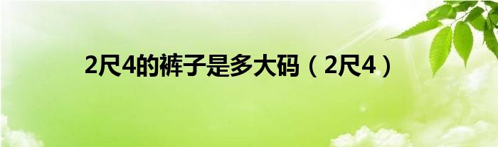 2尺4的裤子是多大码(2尺4)
