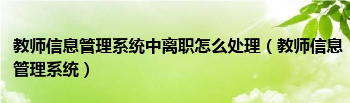 教师信息管理系统中离职怎么处理(教师信息管理系统)