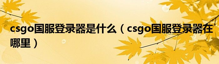 csgo国服登录器是什么(csgo国服登录器在哪里)