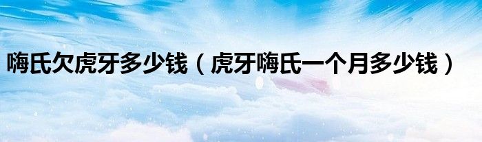 嗨氏欠虎牙多少钱（虎牙嗨氏一个月多少钱）