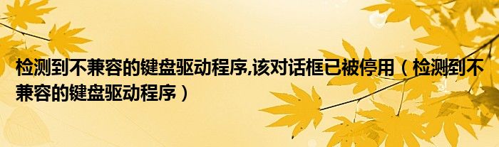 检测到不兼容的键盘驱动程序,该对话框已被停用(检测到不兼容的键盘驱动程序)