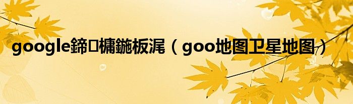 google鍗槦鍦板浘(goo地图卫星地图)