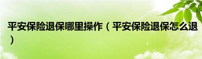 平安保险退保哪里操作(平安保险退保怎么退)