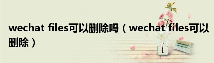 wechat files可以删除吗(wechat files可以删除)