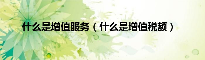 什么是增值服务(什么是增值税额)