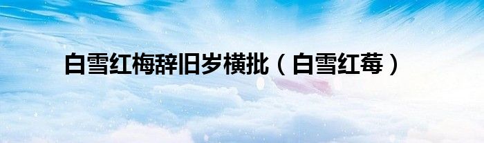 白雪红梅辞旧岁横批(白雪红莓)