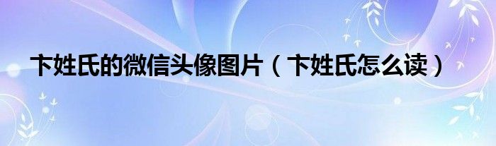 卞姓氏的微信头像图片(卞姓氏怎么读)