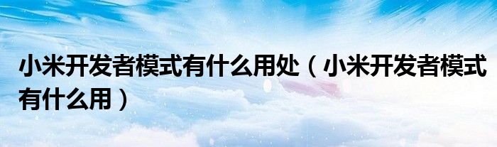 小米开发者模式有什么用处(小米开发者模式有什么用)