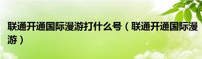 联通开通国际漫游打什么号(联通开通国际漫游)