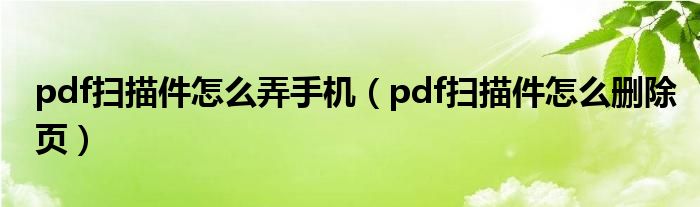 pdf扫描件怎么弄手机(pdf扫描件怎么删除页)