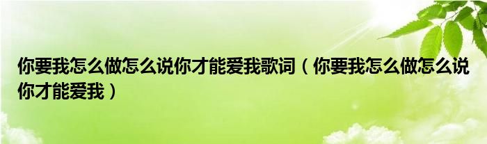 你要我怎么做怎么说你才能爱我歌词(你要我怎么做怎么说你才能爱我)
