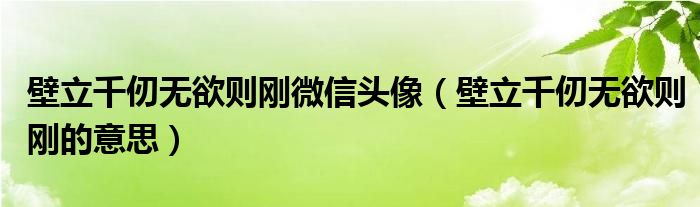 壁立千仞无欲则刚微信头像(壁立千仞无欲则刚的意思)