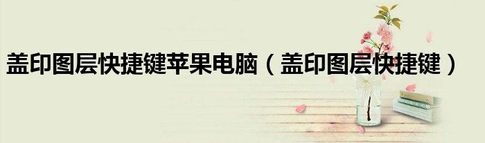 盖印图层快捷键苹果电脑(盖印图层快捷键)