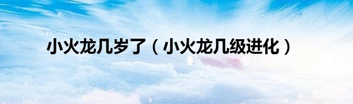 小火龙几岁了(小火龙几级进化)