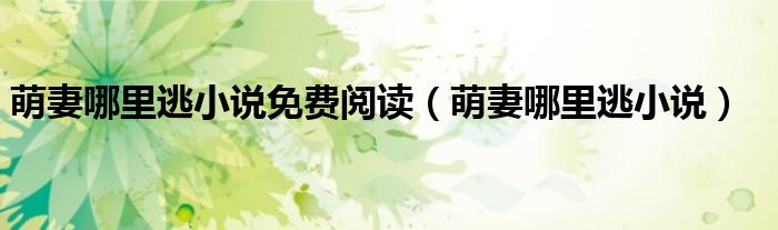 萌妻哪里逃小说免费阅读(萌妻哪里逃小说)