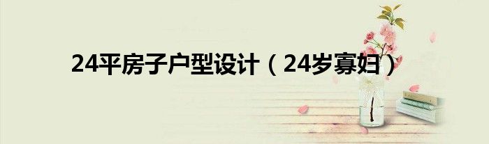 24平房子户型设计(24岁寡妇)
