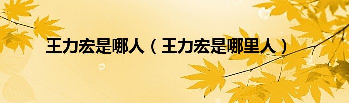王力宏是哪人(王力宏是哪里人)