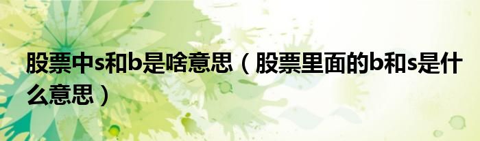 股票中s和b是啥意思(股票里面的b和s是什么意思)