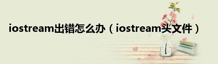 iostream出错怎么办(iostream头文件)