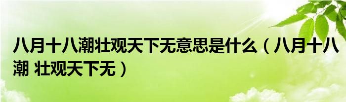 八月十八潮壮观天下无意思是什么(八月十八潮 壮观天下无)