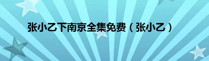 张小乙下南京全集免费(张小乙)