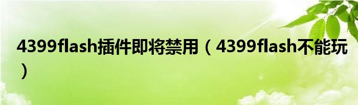 4399flash插件即将禁用(4399flash不能玩)