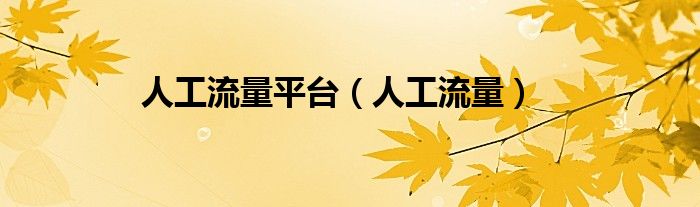 人工流量平台(人工流量)