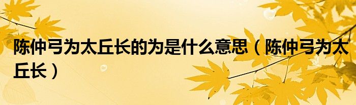 陈仲弓为太丘长的为是什么意思(陈仲弓为太丘长)