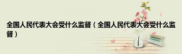 全国人民代表大会受什么监督(全国人民代表大会受什么监督)