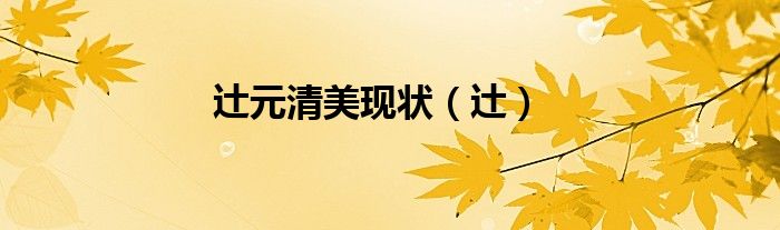辻元清美现状（辻）